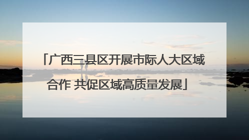 广西三县区开展市际人大区域合作 共促区域高质量发展