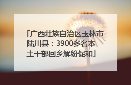 广西壮族自治区玉林市陆川县：3900多名本土干部回乡解纷促和
