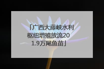 广西大藤峡水利枢纽增殖放流201.9万尾鱼苗