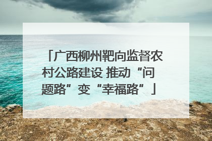 广西柳州靶向监督农村公路建设 推动“问题路”变“幸福路”