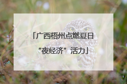 广西梧州点燃夏日“夜经济”活力