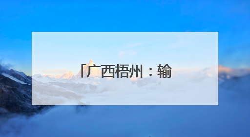 广西梧州：输变设备检修 保障迎峰度夏