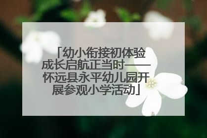 幼小衔接初体验 成长启航正当时——怀远县永平幼儿园开展参观小学活动