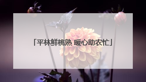 平林鲜桃熟 暖心助农忙