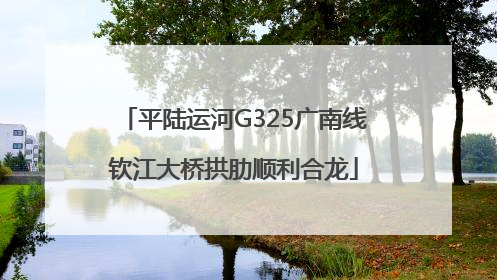 平陆运河G325广南线钦江大桥拱肋顺利合龙