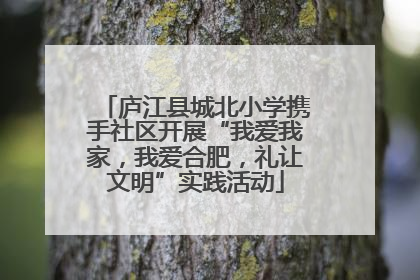 庐江县城北小学携手社区开展“我爱我家，我爱合肥，礼让文明”实践活动