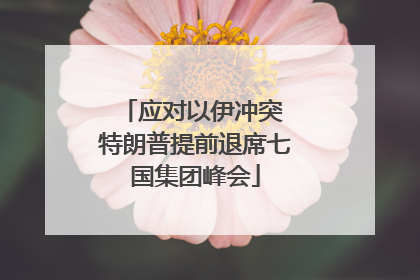 应对以伊冲突 特朗普提前退席七国集团峰会