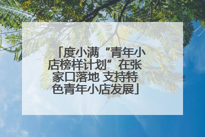 度小满“青年小店榜样计划”在张家口落地 支持特色青年小店发展