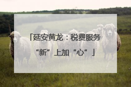 延安黄龙：税费服务“新”上加“心”