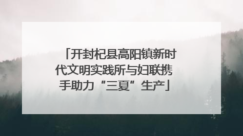 开封杞县高阳镇新时代文明实践所与妇联携手助力“三夏”生产