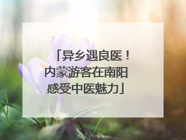 异乡遇良医！内蒙游客在南阳感受中医魅力
