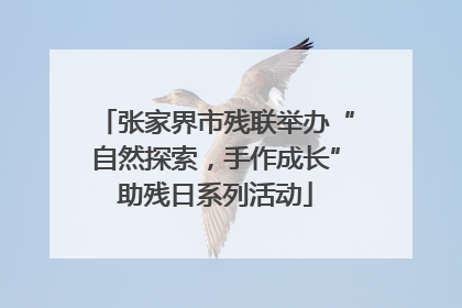 张家界市残联举办“自然探索，手作成长”助残日系列活动