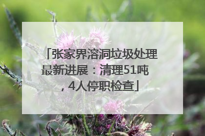 张家界溶洞垃圾处理最新进展：清理51吨，4人停职检查
