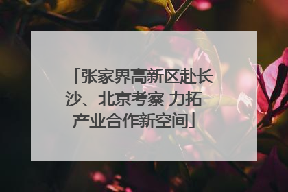 张家界高新区赴长沙、北京考察 力拓产业合作新空间