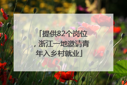 提供82个岗位，浙江一地邀请青年入乡村就业