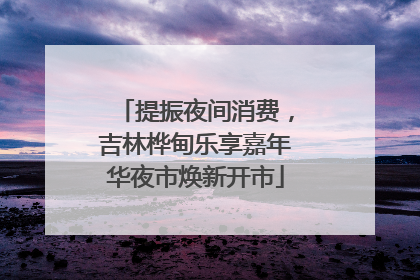 提振夜间消费，吉林桦甸乐享嘉年华夜市焕新开市