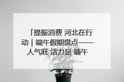 提振消费 河北在行动｜端午假期盘点——人气旺 活力足 端午经济“热浪”迭起