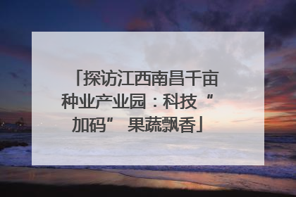 探访江西南昌千亩种业产业园：科技“加码” 果蔬飘香