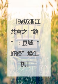 探访浙江共富之“路”：县城“虾路”焕生机