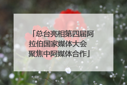总台亮相第四届阿拉伯国家媒体大会 聚焦中阿媒体合作