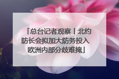 总台记者观察丨北约防长会拟加大防务投入 欧洲内部分歧难掩
