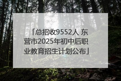 总招收9552人 东营市2025年初中后职业教育招生计划公布