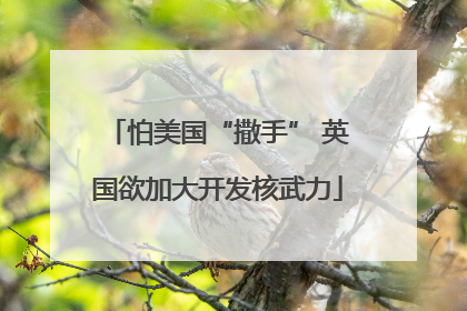 怕美国“撒手” 英国欲加大开发核武力