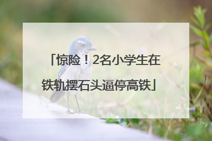 惊险！2名小学生在铁轨摆石头逼停高铁