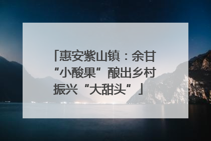 惠安紫山镇：余甘“小酸果”酿出乡村振兴“大甜头”