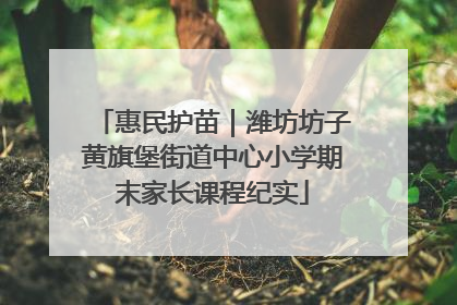 惠民护苗｜潍坊坊子黄旗堡街道中心小学期末家长课程纪实