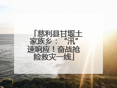 慈利县甘堰土家族乡：“汛”速响应！奋战抢险救灾一线