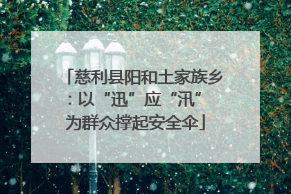 慈利县阳和土家族乡：以“迅”应“汛” 为群众撑起安全伞