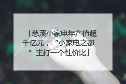 慈溪小家电年产值超千亿元，“小家电之都”主打一个性价比