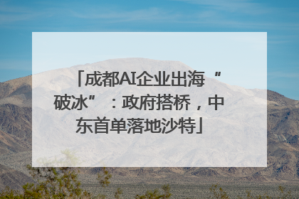 成都AI企业出海“破冰”：政府搭桥，中东首单落地沙特