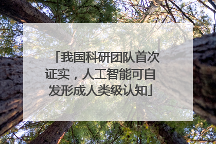 我国科研团队首次证实，人工智能可自发形成人类级认知
