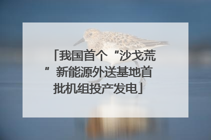 我国首个“沙戈荒”新能源外送基地首批机组投产发电