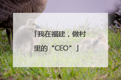 我在福建，做村里的“CEO”