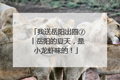 我送岳阳出圈⑦丨岳阳的夏天，是小龙虾味的！