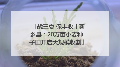 战三夏 保丰收丨新乡县：20万亩小麦种子田开启大规模收割