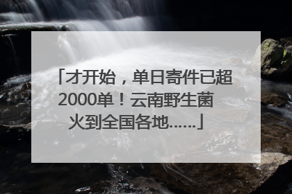 才开始，单日寄件已超2000单！云南野生菌火到全国各地……