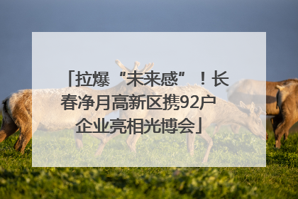 拉爆“未来感”！长春净月高新区携92户企业亮相光博会