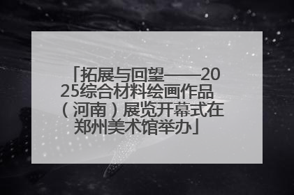 拓展与回望——2025综合材料绘画作品（河南）展览开幕式在郑州美术馆举办