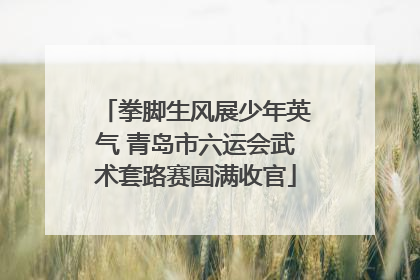 拳脚生风展少年英气 青岛市六运会武术套路赛圆满收官