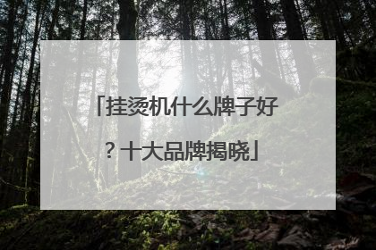 挂烫机什么牌子好？十大品牌揭晓