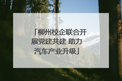 柳州校企联合开展党建共建 助力汽车产业升级