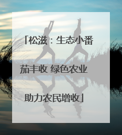 松滋：生态小番茄丰收 绿色农业助力农民增收