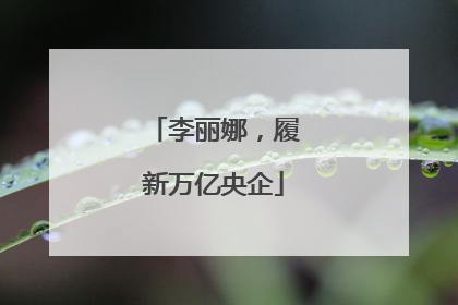 李丽娜，履新万亿央企