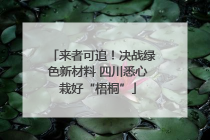 来者可追！决战绿色新材料 四川悉心栽好“梧桐”