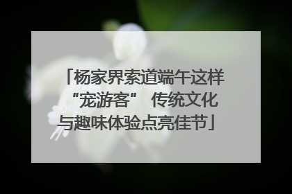 杨家界索道端午这样“宠游客” 传统文化与趣味体验点亮佳节