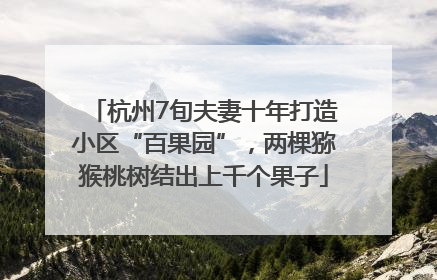 杭州7旬夫妻十年打造小区“百果园”，两棵猕猴桃树结出上千个果子